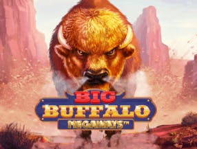 game logo by Skywind Group on megarichescasinoo.se