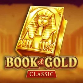 game logo by Playson on megarichescasinoo.se