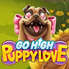 game logo by RubyPlay on megarichescasinoo.se